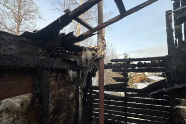 Новость дня