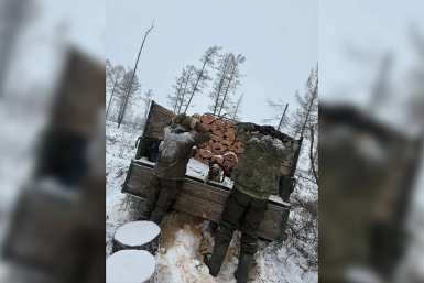 Новость дня