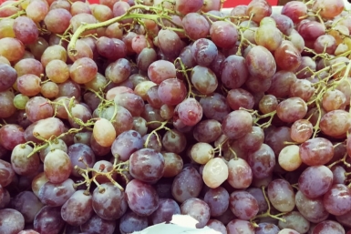 виноград Марина  Померанцева , ИА EAOMedia