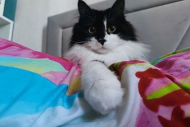 Тематическое фото Елена Гиневская, ИА Stavropol.Media