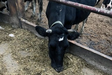 Тематическое фото Прокуратура.РФ