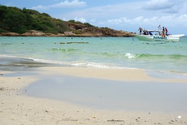 Новость дня