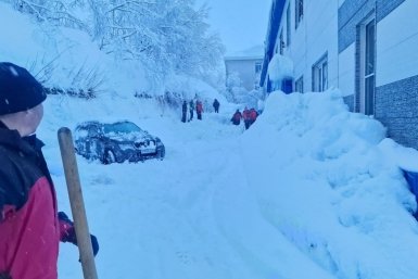 Новость дня