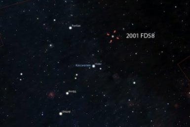 Новость дня