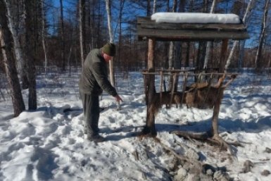 5959505.jpg?87ee7161e02e0343afaae0d84971999b