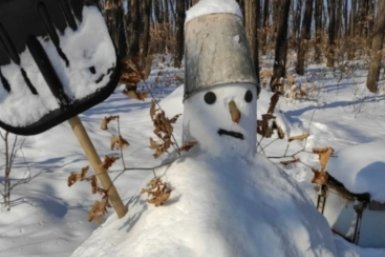 Новость дня