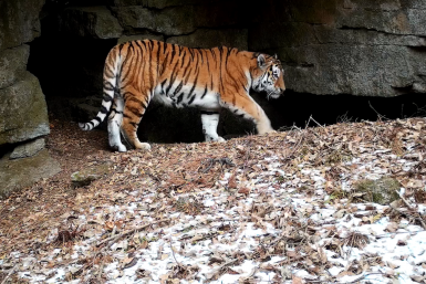 5962091.png?6e187aa197d6caf183b53e5c779ff5cd