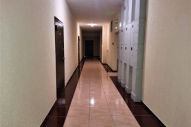 Новость дня