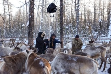 Новость дня