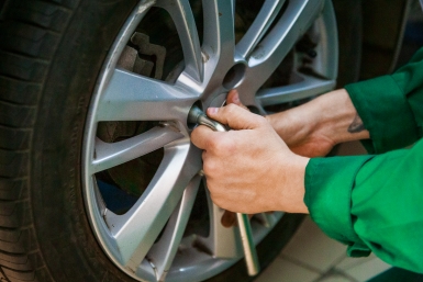 Тематическое фото Илья Аверьянов, ИА PrimaMedia