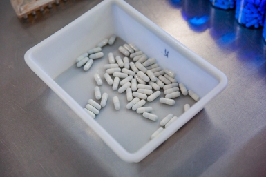 Новость дня