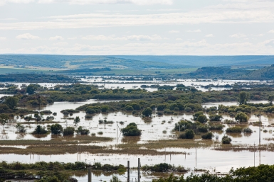 Новость дня