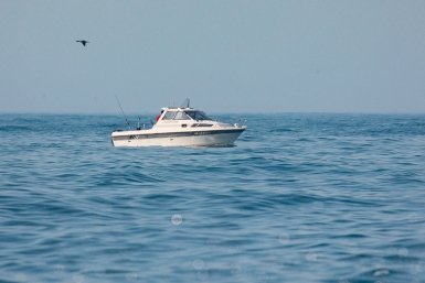 Новость дня