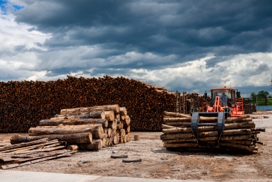 Новость дня