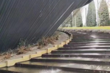 Новость дня