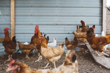 5969094.png?a30affdb19bbcdfecd40e2e559fbd986