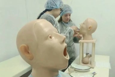 Новость дня