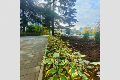 Новость дня