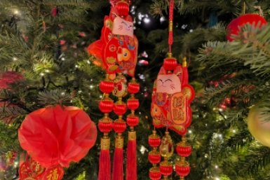 Новость дня