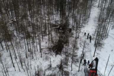 Новость дня