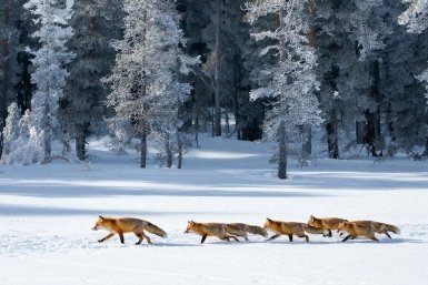 5975676.jpg?609868b8201809f4208566709611dde1