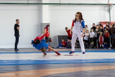 Турнир по трем видам борьбы состоялся в Биробиджане ЕР ЕАО