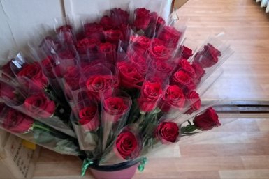 Новость дня