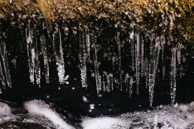 Новость дня