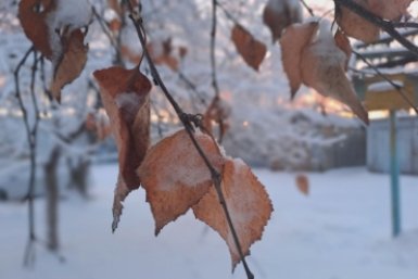 Снегопад вторгнется в Уссурийск на неделе – даты
