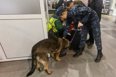 Новость дня