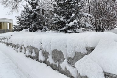 Новость дня