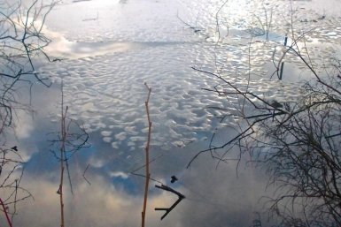 Теплым и малоснежным обещает быть март в ЕАО