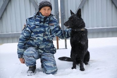 Новость дня