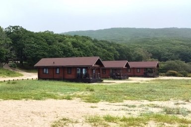 5983945.jpg?d3335d4e336718cf9f9f5d2d6170e535