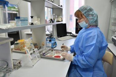 Кишечную палочку нашли в творожной массе приморского производителя