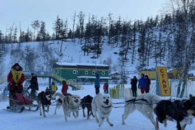 Новость дня