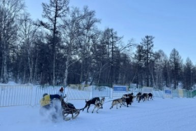 Новость дня