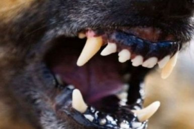 Тематическое фото Прокуратура Магаданской области