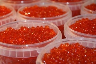 Тематическое фото Прокуратура Магаданской области