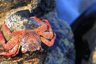 Тематическое фото Прокуратура Магаданской области