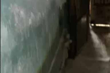 Тематическое фото Прокуратура Магаданской области/скриншот видео