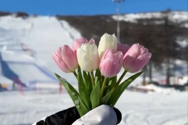 Снегорка Снегорка