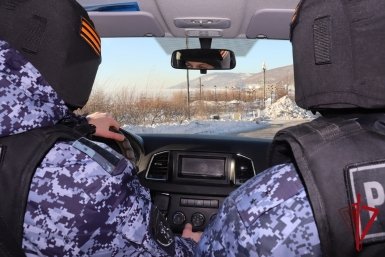 Новость дня