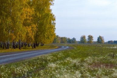 Новость дня