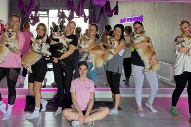 Новость дня