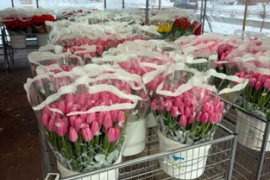 Новость дня