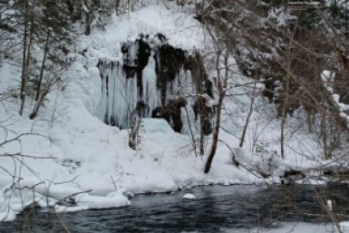 Новость дня