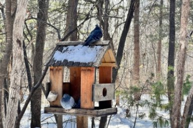 Новость дня