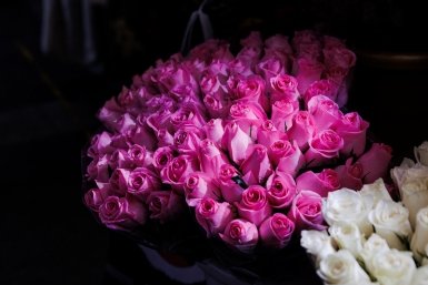 В Новороссийске устроят букетный забег в честь 8 марта Евгений  Кулешов