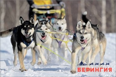 Новость дня